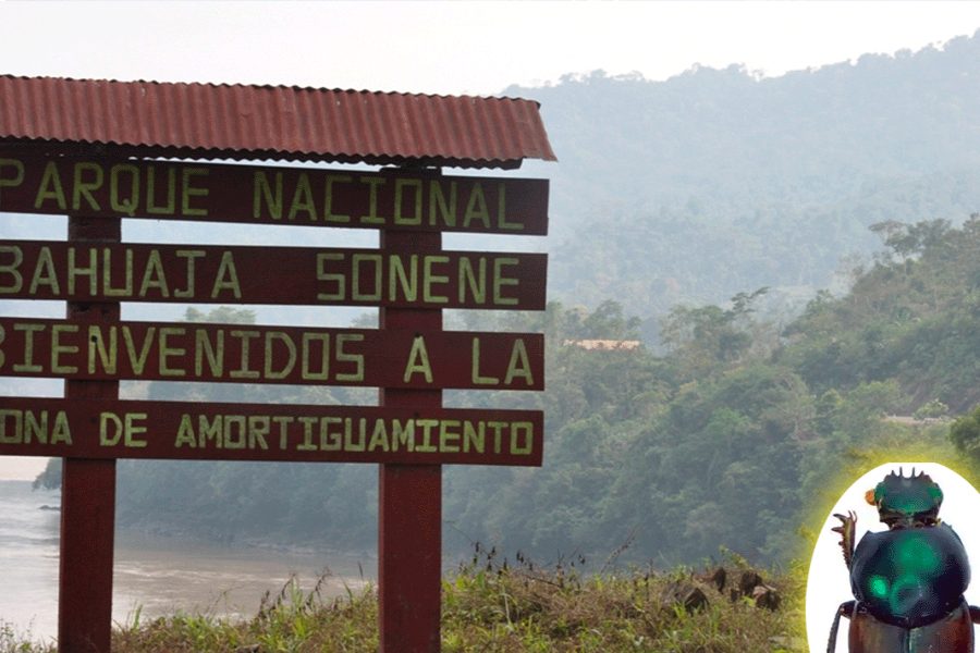 post-xl_38
