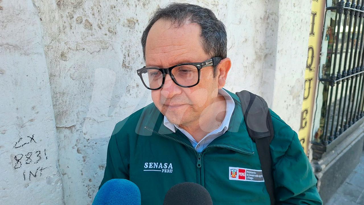 Senasa identifica 118 bovinos con brucelosis en Majes