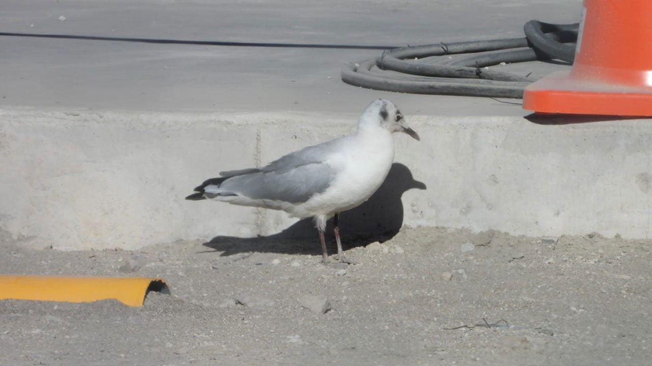post