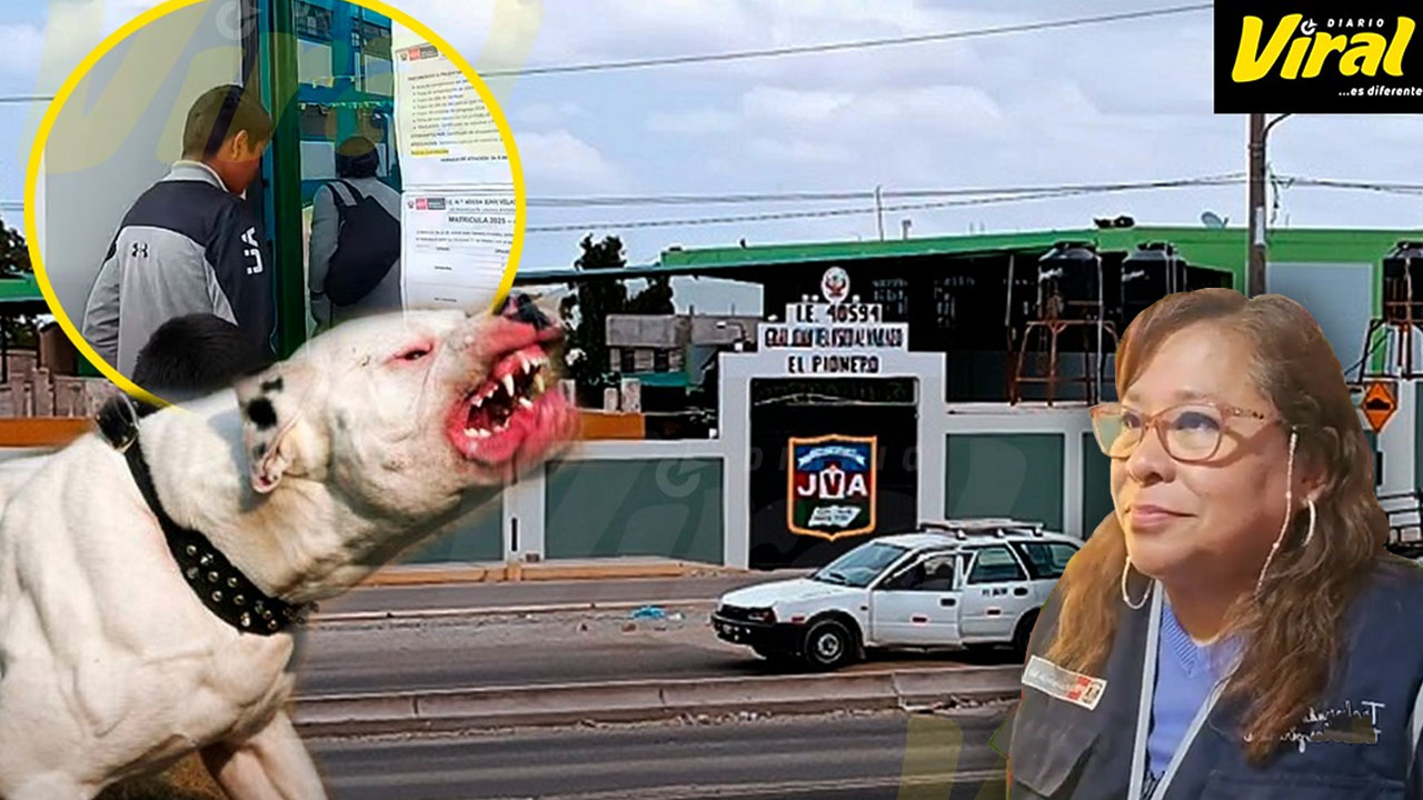 Perro muerde a 15 niños dentro de colegio en Majes