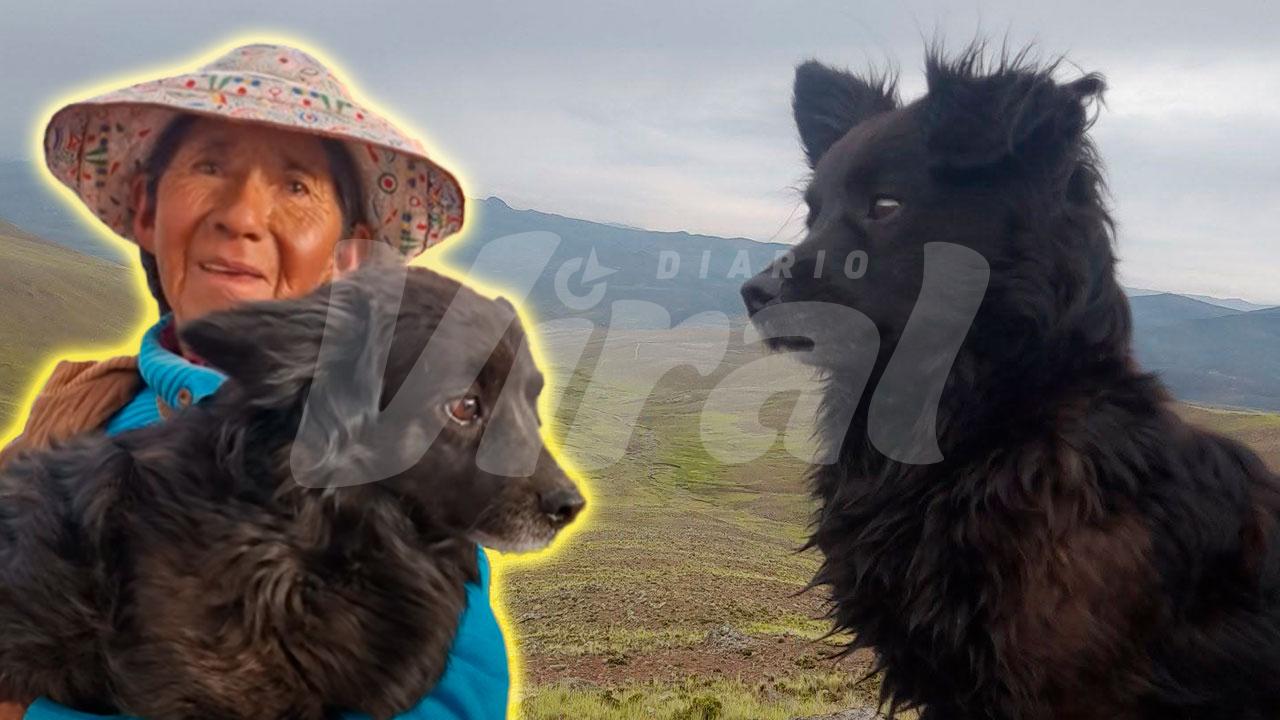 Yiyi vuelve a casa tras 42 días desaparecida en Arequipa