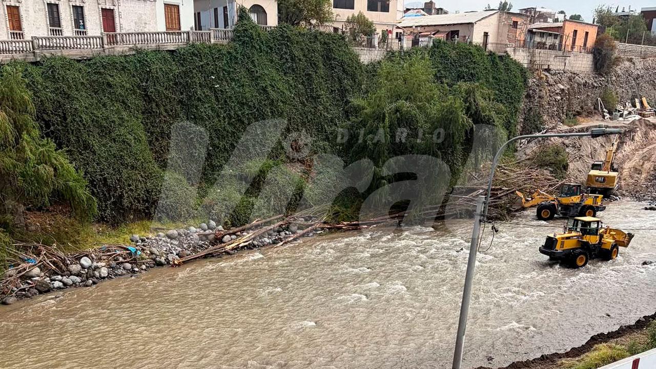 MPA retira sauces de la ribera del río Chili