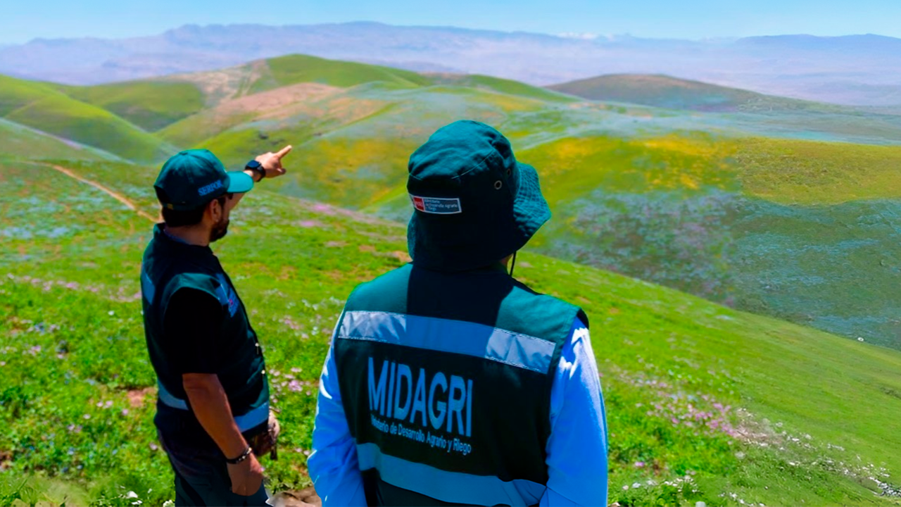 Residuos y fogatas amenazan las lomas costeras de Moquegua y Tacna