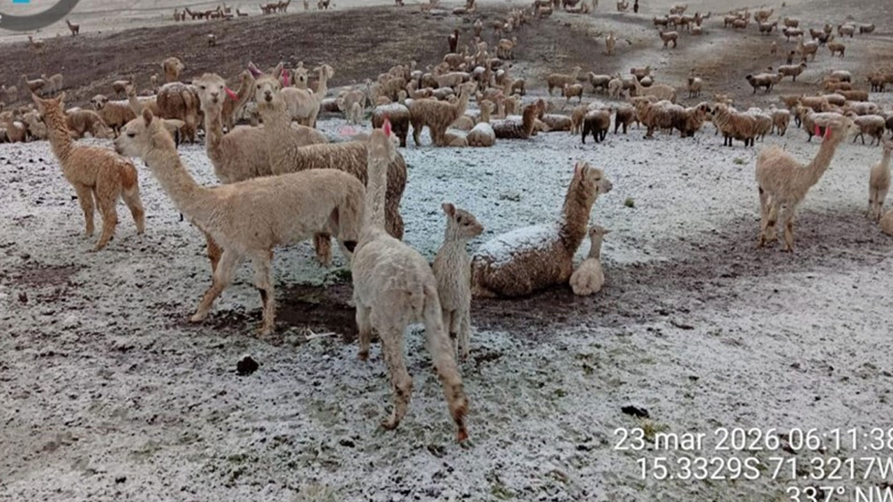 Nevadas golpean Caylloma