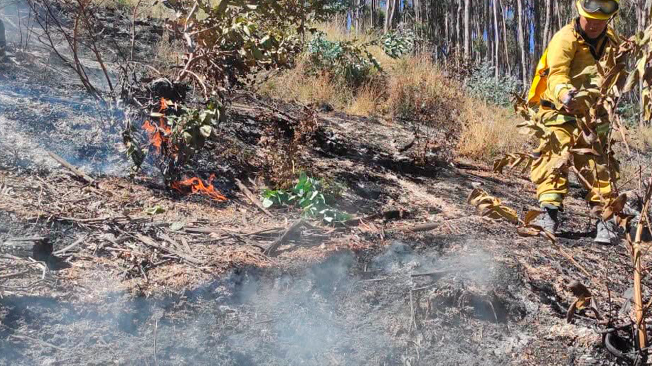 Incendio forestal consume tres hectáreas en Sacsayhuamán, pero no afecta estructuras incas