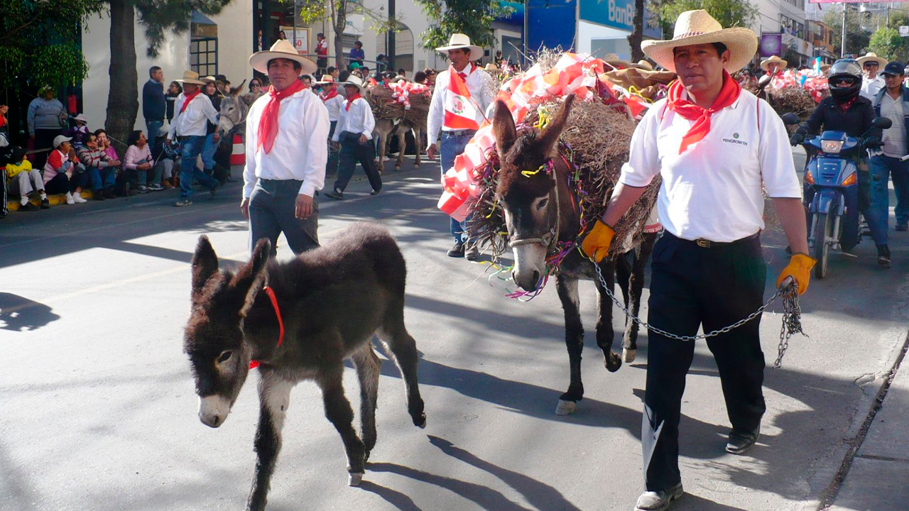 Entrada de Ccapo en Arequipa: conoce horarios y rutas por el aniversario