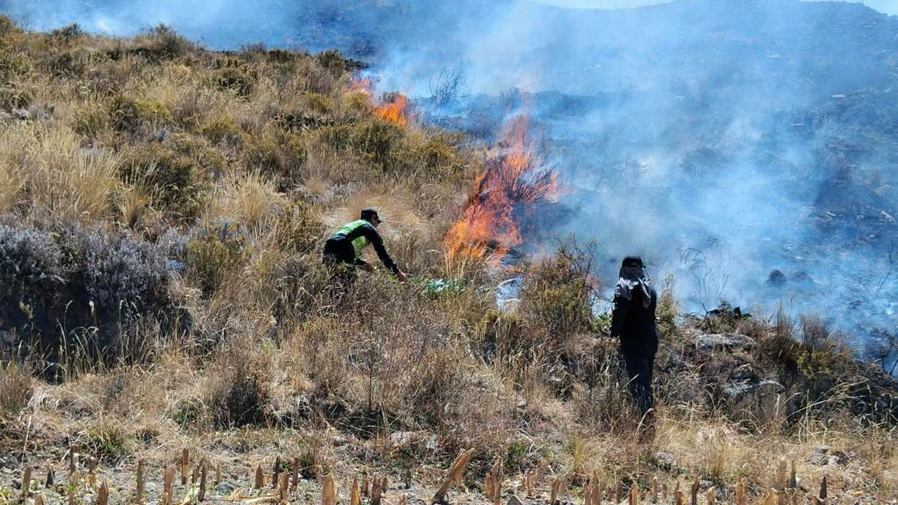 Caylloma: incendio forestal arrasa 10 hectáreas de pastos en Madrigal