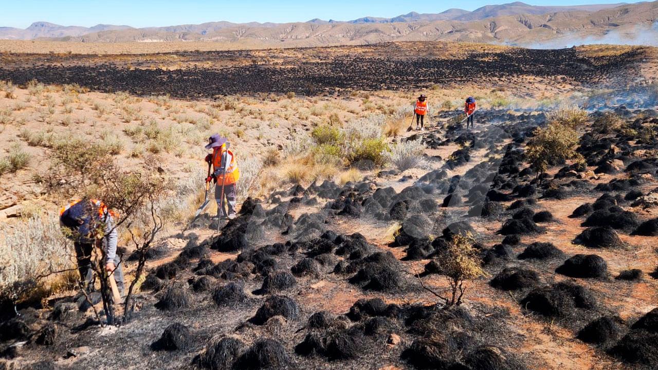 Voraz incendio forestal devora más de 500 hectáreas y calcina fauna silvestre en Yura