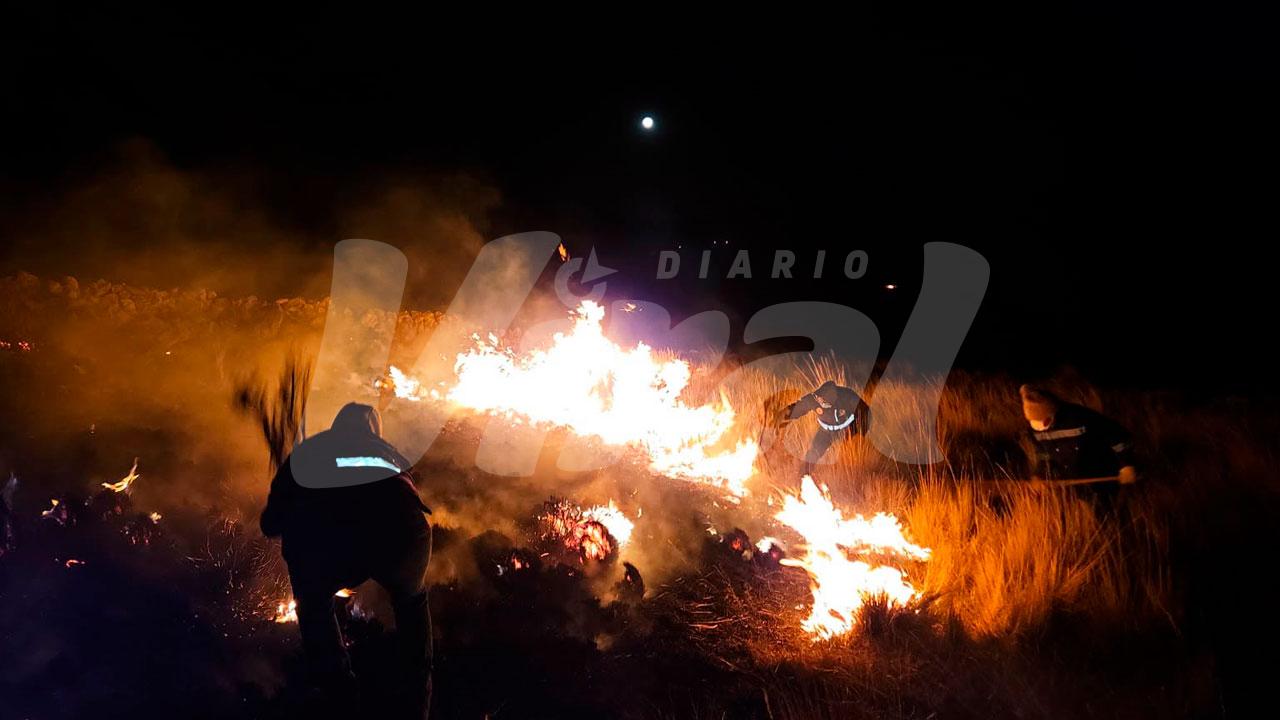 Incendio forestal deja una fallecida y más daños en Puno