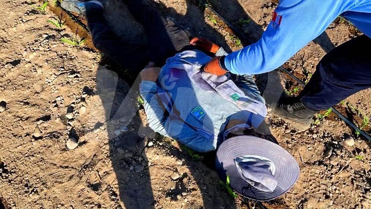 Majes: agricultor de 47 años falleció mientras realizaba labores de campo