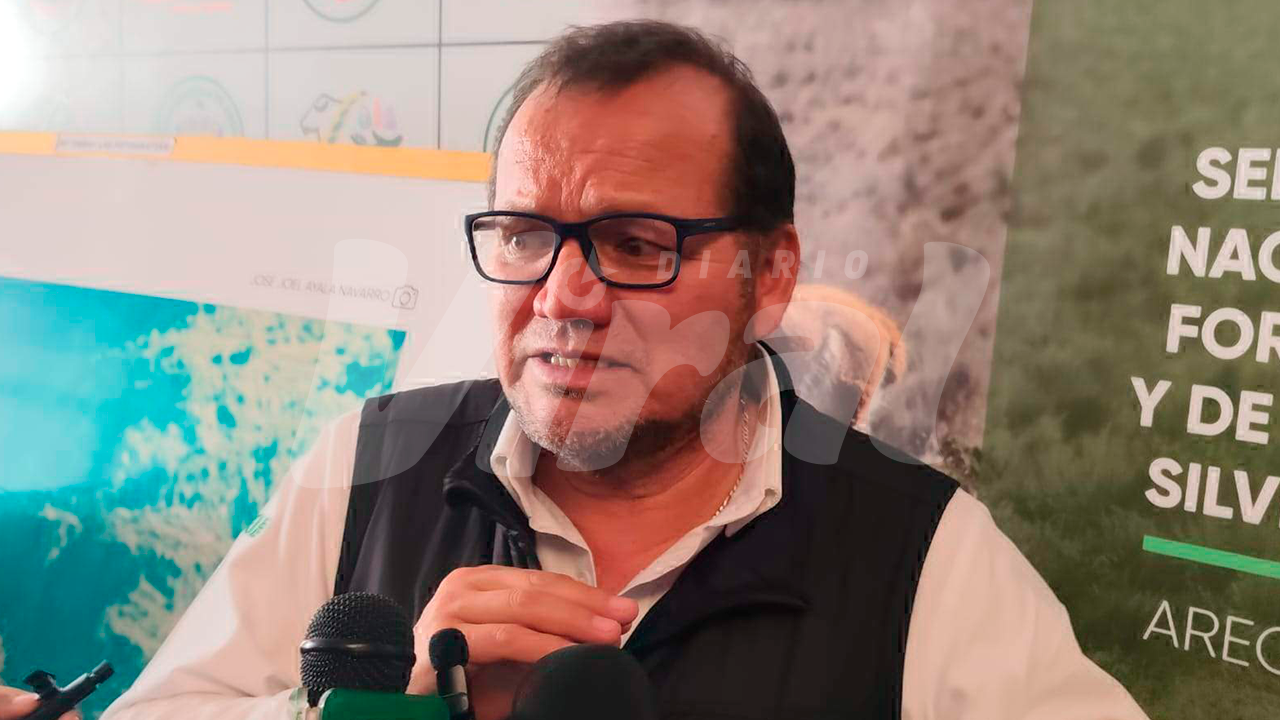 Serfor evalúa realizar un nuevo censo nacional de cóndores en 2029