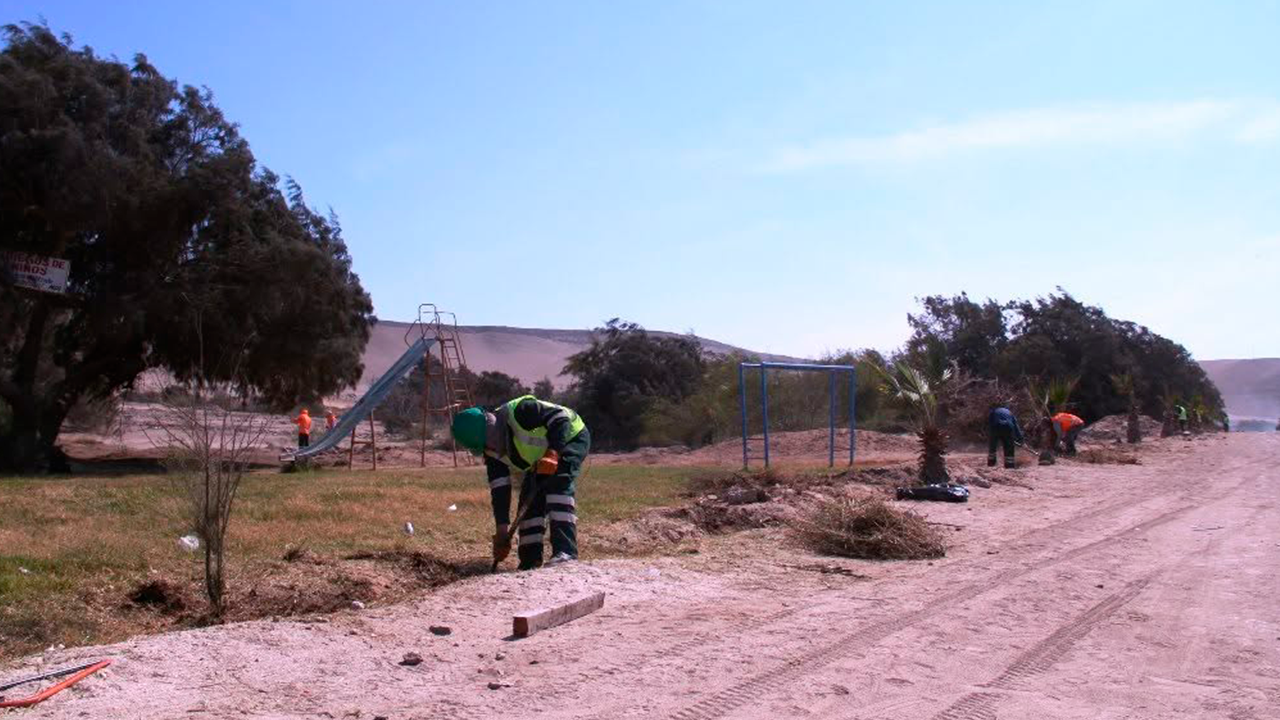 Ilo movilizará a más de 150 jóvenes para recuperar el Bosque Municipal de Cata Catas