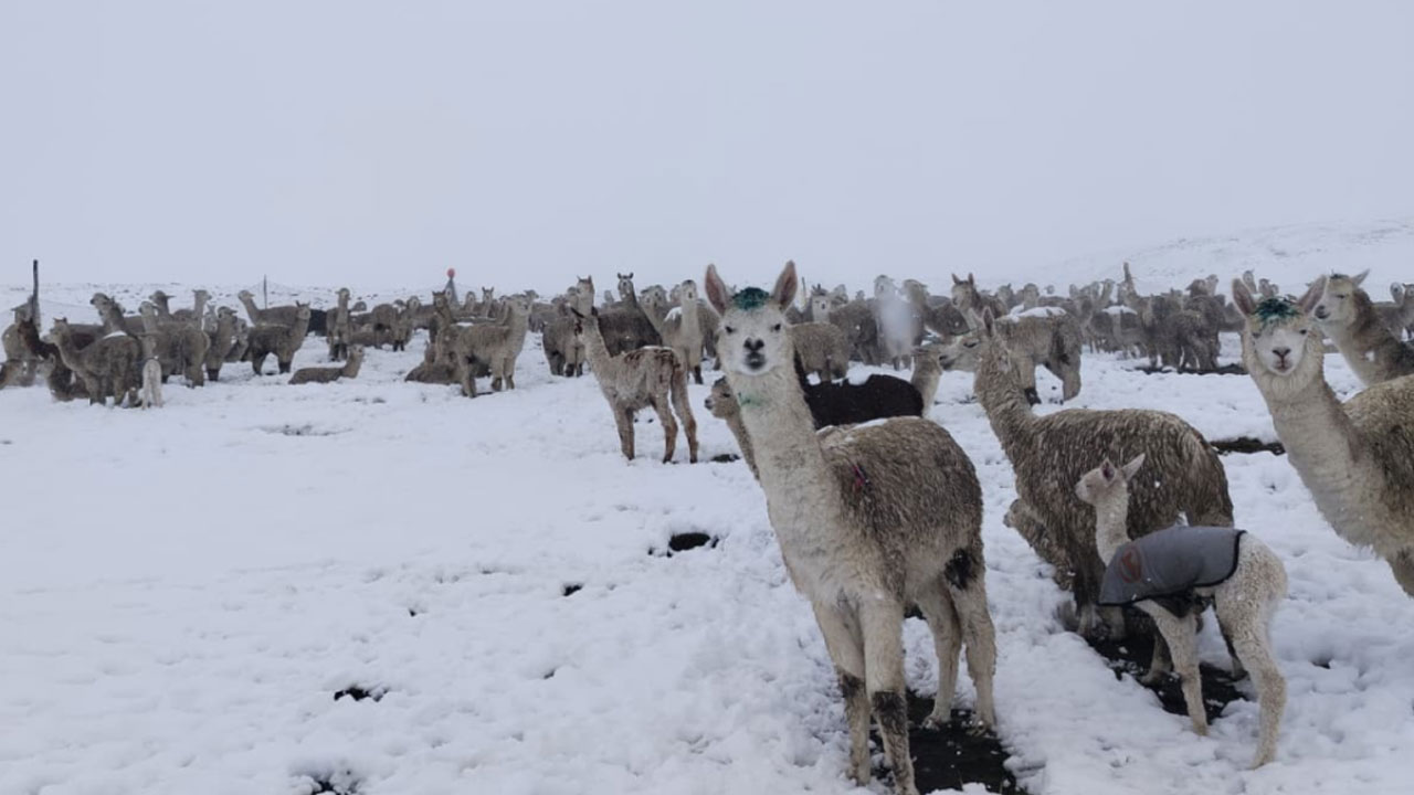 Sierra de Arequipa soportará temperaturas de hasta -17 °C