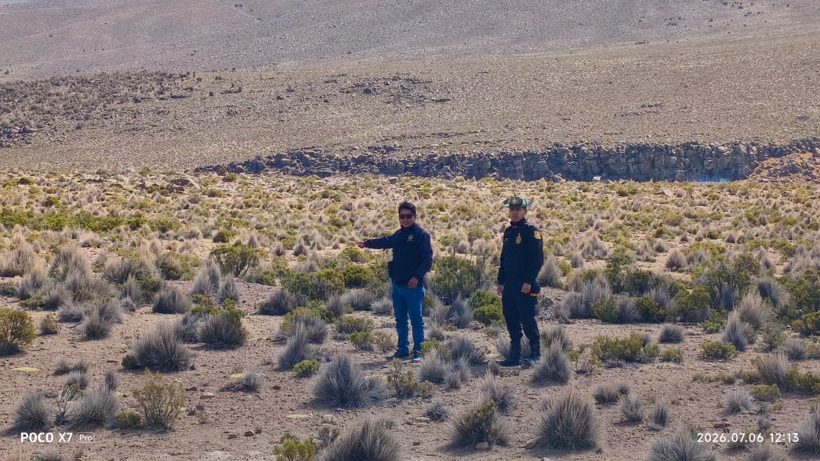 Fiscalía y Policía realizan operativo en Tacna para prevenir la caza furtiva de vicuñas