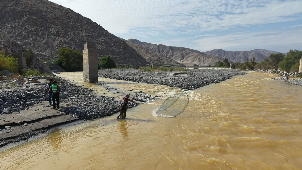 Río Tambo vuelve a presentar coloración extraña y genera alerta en Islay