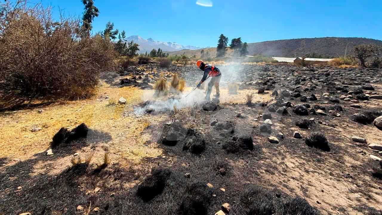 Incendio forestal arrasa 400 hectáreas en Characato 